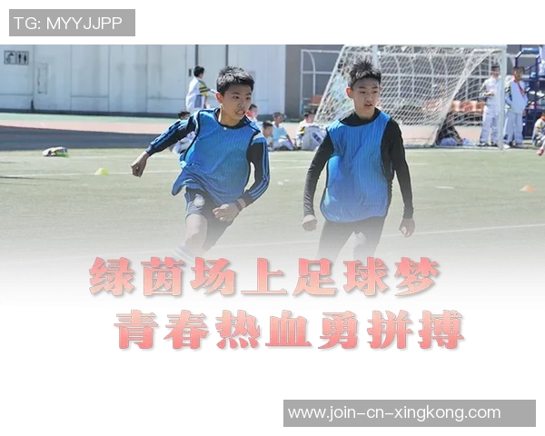 青春足球梦少年强受在绿茵场上追逐梦想的热血故事